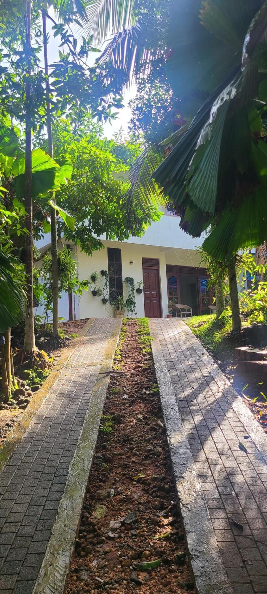 'Kolamba Gedara' Green Apartment Ruwanwella Buitenkant foto