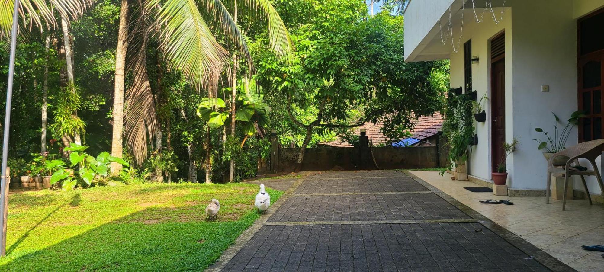 'Kolamba Gedara' Green Apartment Ruwanwella Buitenkant foto